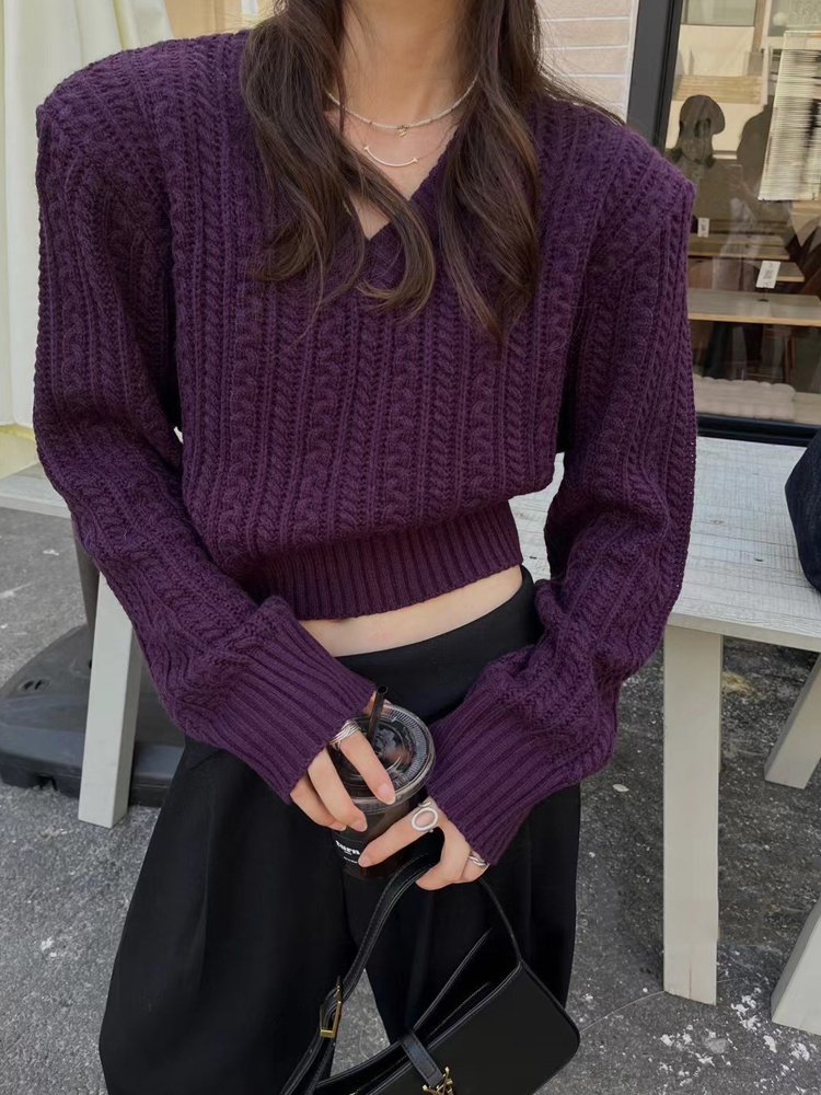 V Neck Short Sweater Women Kor - Vintage Fashion Old Money avis et prix